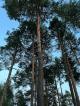 Гора Кухавуори 4